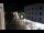 Webcam in Caorle, 7.3 mi away