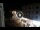 Webcam in Caorle, 0.1 mi away