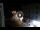 Webcam in Caorle, 1.3 km entfernt