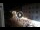 Webcam in Caorle, 0.1 mi away