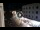 Webcam in Caorle, 7.3 mi away