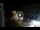 Webcam in Caorle, 1.3 km entfernt