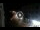 Webcam in Caorle, 1.3 km entfernt
