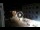 Webcam in Caorle, 7.4 mi away
