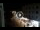 Webcam in Caorle, 1.3 km