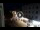 Webcam in Caorle, 1.1 km