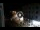 Webcam in Caorle, 1.2 km