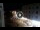 Webcam in Caorle, 0.2 km