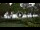 Webcam in Esterillos Este, 523.5 km