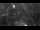 Webcam in Mondsee, 10.7 km entfernt