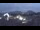 Webcam in Füssen, 8.1 km entfernt