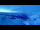 Webcam in Arosa, 8.2 km