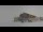 Webcam in Arosa, 1.9 km