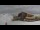 Webcam in Arosa, 3.8 km entfernt