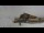 Webcam in Arosa, 4 km
