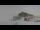 Webcam in Arosa, 4 mi away