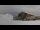 Webcam in Arosa, 0.1 km