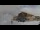 Webcam in Arosa, 11.2 km