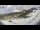 Webcam in Saas Grund, 12.6 km