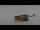 Webcam in Belalp, 3.6 mi away