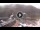 Webcam in Ushuaia, 5.4 km entfernt
