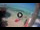 Webcam in Kralendijk, Bonaire, 7.9 km