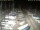 Webcam in San Benedetto del Tronto, 1.7 mi away