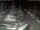 Webcam in San Benedetto del Tronto, 8.3 mi away