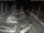 Webcam in San Benedetto del Tronto, 42.8 km entfernt
