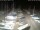 Webcam in San Benedetto del Tronto, 52.4 km