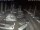 Webcam in San Benedetto del Tronto, 42.1 km