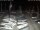 Webcam in San Benedetto del Tronto, 17.7 km
