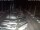 Webcam in San Benedetto del Tronto, 26.8 km entfernt