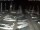 Webcam in San Benedetto del Tronto, 2.8 km entfernt