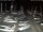 Webcam in San Benedetto del Tronto, 28.5 km