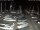 Webcam in San Benedetto del Tronto, 8.2 mi away