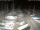 Webcam in San Benedetto del Tronto, 42.1 km