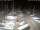 Webcam in San Benedetto del Tronto, 3.8 mi away