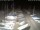 Webcam in San Benedetto del Tronto, 4 km