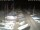 Webcam in San Benedetto del Tronto, 27.2 km