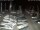 Webcam in San Benedetto del Tronto, 2.8 km