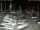 Webcam in San Benedetto del Tronto, 2.8 km