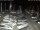 Webcam in San Benedetto del Tronto, 2.8 km