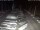 Webcam in San Benedetto del Tronto, 12 km