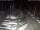 Webcam in San Benedetto del Tronto, 17.4 km