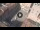 Webcam in Verona, 0.9 km entfernt
