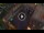 Webcam in Vérone, 1.7 km