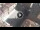 Webcam in Verona, 0.1 km