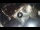 Webcam in Verona, 0.1 km