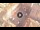 Webcam in Verona, 0.6 km